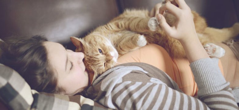 Los científicos revelaron por qué los gatos duermen encima de sus dueños -  Diario Registrado